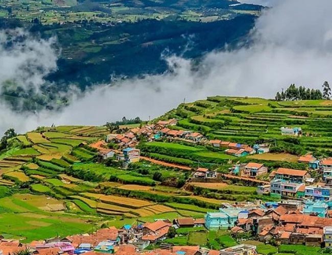 Mysore to Ooty Tour Packages